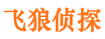 邯郸县市婚外情调查